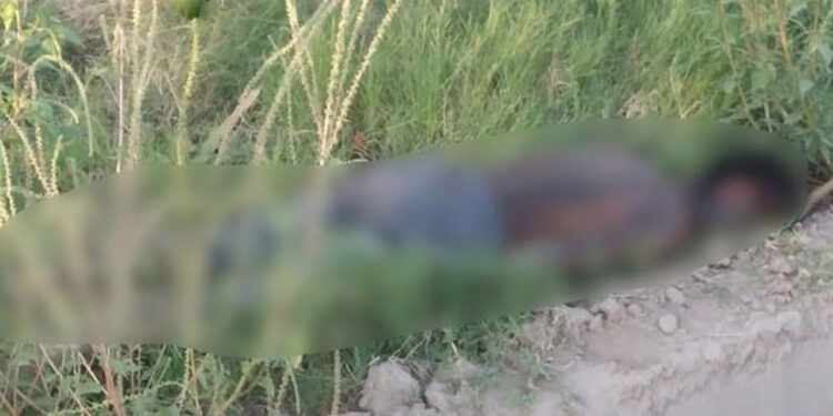 Encuentran a joven muerto en una huerta de mangos, habría sufrido un golpe de calor