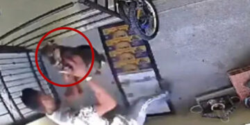 VIDEO: ¡Perro coraje! En Puebla, sujeto agrede a lomito y lo avienta de un tercer piso