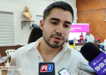 Dañar panales de abejas te hará acreedor a una multa