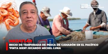 Inicio de temporada de pesca de camarón en el Pacífico ‘pinta bien’: Ricardo Michel Luna