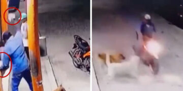 Hombre golpea con tabique a perro porque ladró a su moto | Video