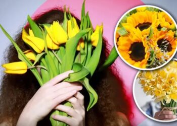 ¿Qué significa dar flores amarillas en septiembre?