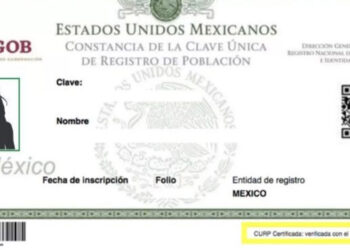¿Cómo será la nueva CURP con fotografía que aprobó el Senado?