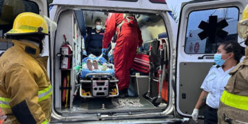 Víbora de cascabel muerde en la mano a un hombre de 35 años en Los Reyes La Paz