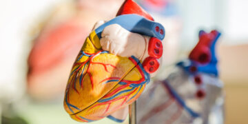 Las enfermedades cardiacas son la mayor causa de muerte en México