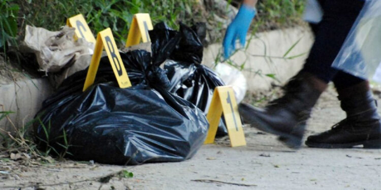 Macabro hallazgo: encuentran bolsa de basura con restos humanos en Tlalnepantla