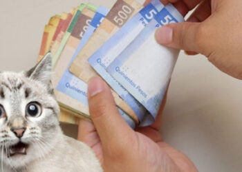 SAT 2023: Trabajadores que no deberán pagar impuestos sobre su aguinaldo