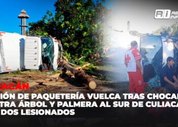 Camión de paquetería vuelca tras chocar contra árbol y palmera al sur de Culiacán; hay dos lesionados