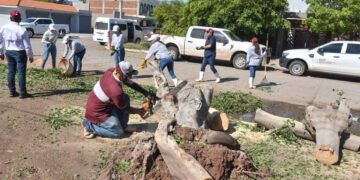 “Al 90% el restablecimiento de los servicios en Los Mochis y todo el Municipio”: Gerardo Vargas