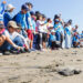 Niñas y niños talentos adoptan un nido de tortuga para evitar la extinción de la especie