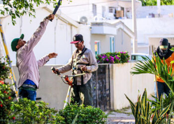 Colonia López Mateos recibe limpieza general de sectores