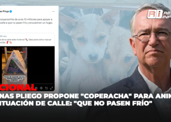 Salinas Pliego propone “coperacha” para animales en situación de calle: “que no pasen frío”