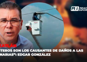 “Punteros son los causantes de daños a las luminarias”: Edgar González
