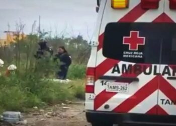 Descubren cuerpo de recién nacido en bolsa de basura en Tamaulipas