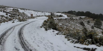 ¿Nieve a la vista? Frente Frío 19 y tormenta invernal pondrán a temblar a estos estados