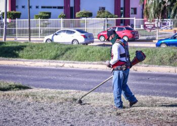 Recibe avenida Carlos Canseco trabajos de embellecimiento