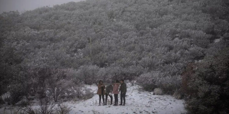 ¿Qué tan frío será este invierno en México?