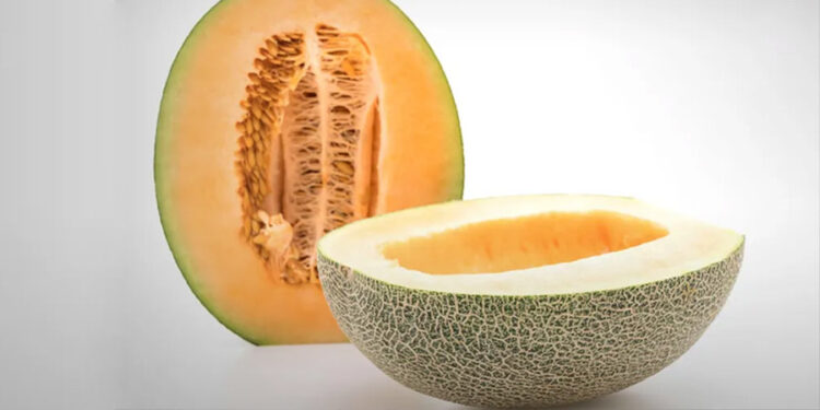 Canadá reporta 6 personas muertas por brote de salmonela en melones mexicanos