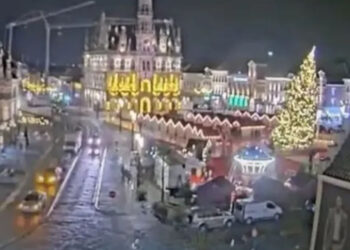 ¡Amargas fiestas! Mujer muere aplastada por Árbol de Navidad gigante | VIDEO