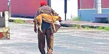 Un abuelo alzó a su perro para que no se queme las patitas con el asfalto