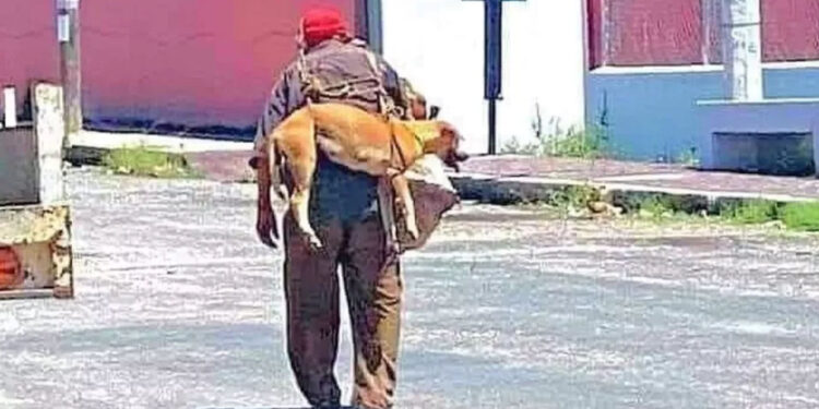 Un abuelo alzó a su perro para que no se queme las patitas con el asfalto