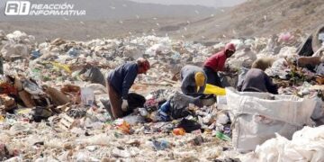 Dentro de una bolsa de plástico, encuentran cadáver de un bebé en basurón de Culiacán