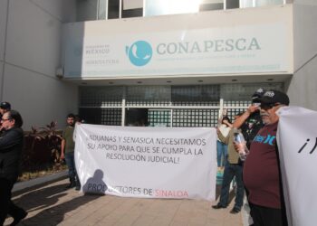 Pescadores y acuicultores exigen cumplimiento de amparo ante ingreso de camarón extranjero