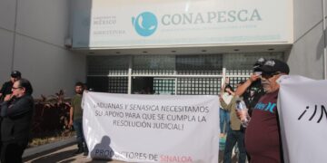 Pescadores y acuicultores exigen cumplimiento de amparo ante ingreso de camarón extranjero