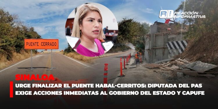 Urge finalizar el puente Habal-Cerritos: Diputada del PAS exige acciones inmediatas al Gobierno del Estado y CAPUFE