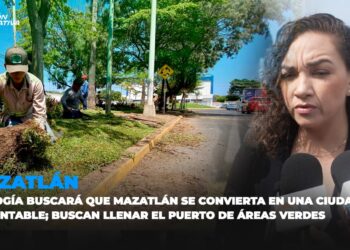 Ecología buscará que Mazatlán se convierta en una ciudad sustentable; buscan llenar el puerto de áreas verdes