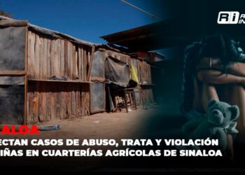 Detectan casos de abuso, trata y violación de niñas en cuarterías agrícolas de Sinaloa