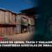 Detectan casos de abuso, trata y violación de niñas en cuarterías agrícolas de Sinaloa