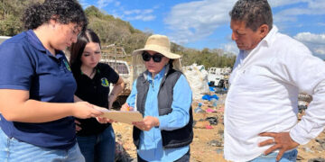 Gobierno de Mazatlán instalará el primer Apiario Municipal