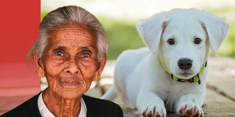 Abuelita hereda millonaria fortuna a sus mascotas; prefirió dejar a sus hijos sin ‘un peso’ | CASO VIRAL