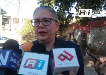 Hasta ahora no tenemos ninguna precandidatura: Domínguez Nava