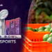 Super Bowl recibirá 130 mil toneladas de aguacate de productores de México