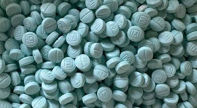 Aseguran carga de drogas dentro de panales de abeja en la autopista Culiacán-Ahome