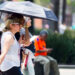 Activan Alerta Amarilla en CDMX por altas temperaturas