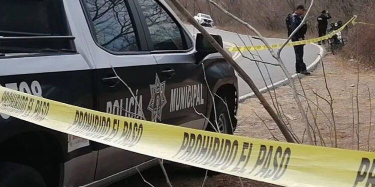 Reportan el desplome de avioneta en Sinaloa