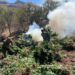 Marina, FGR y SSPE localizan y destruyen cinco plantíos de droga en el municipio de Sinaloa
