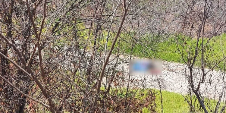 Encuentran hombre asesinado cerca de Carretera hacia Isla de la piedra en Mazatlán