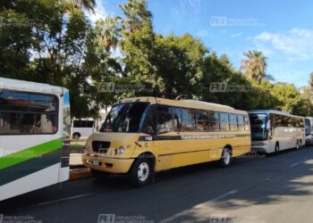 ¿Acarreados al evento de Sheinbaum en Mazatlán?; reportan el arribo de 30 autobuses con “morensitas” a mitin en Olas Altas