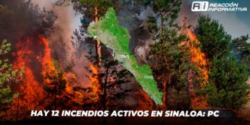 Hay 12 incendios activos en Sinaloa: PC