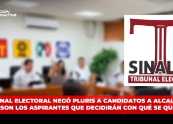Tribunal Electoral negó pluris a candidatos a alcaldes; estos son los más de 80 aspirantes que decidirán con qué se quedan