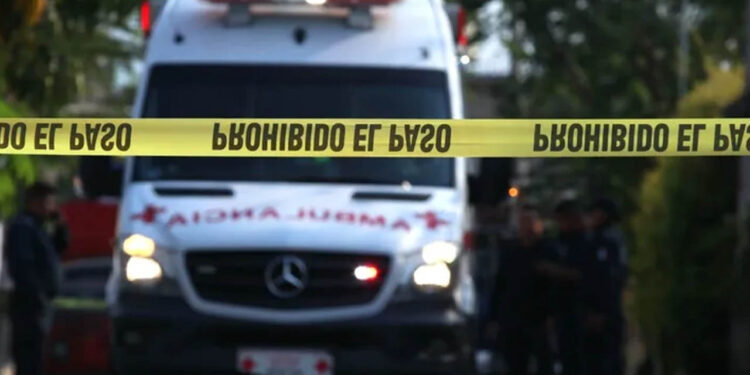 Perro Encuentran Cuerpo Desmembrado y Lleva Pierna a su Casa