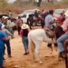 Fiscalía de Sinaloa abre investigación por carrera clandestina de caballos donde fallecieron 2 personas