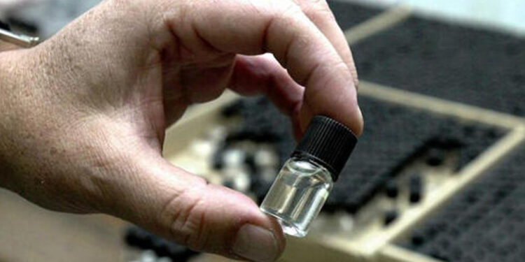 Jóvenes ahora prueban con mota modificada y éxtasis líquido