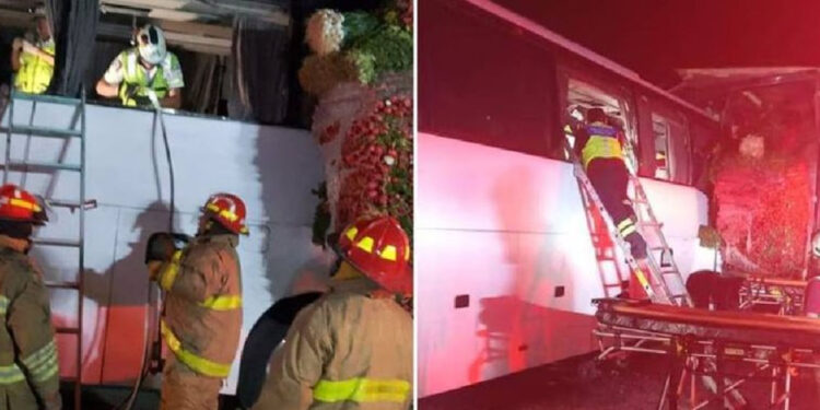 Autobús choca contra tráiler en autopista Córdoba-Veracruz, hay 35 heridos