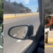 Autobus impacta contra tráiler y se incendia en Sinaloa; hay 4 muertos y al menos 19 heridos