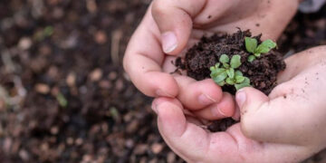 Día del Niño: 3 plantas que los pequeños pueden cuidar